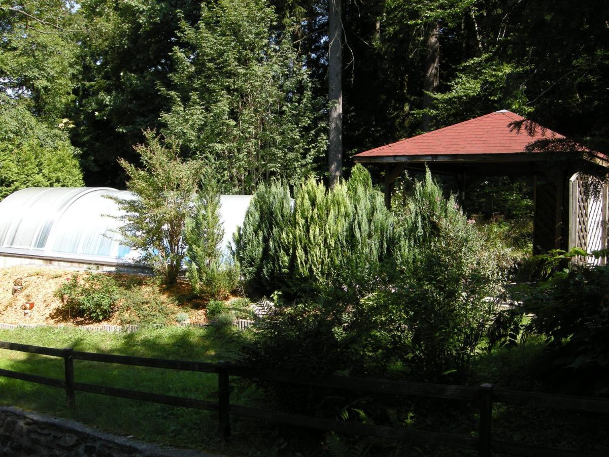 Villa Angelika Altenberg Eksteriør billede