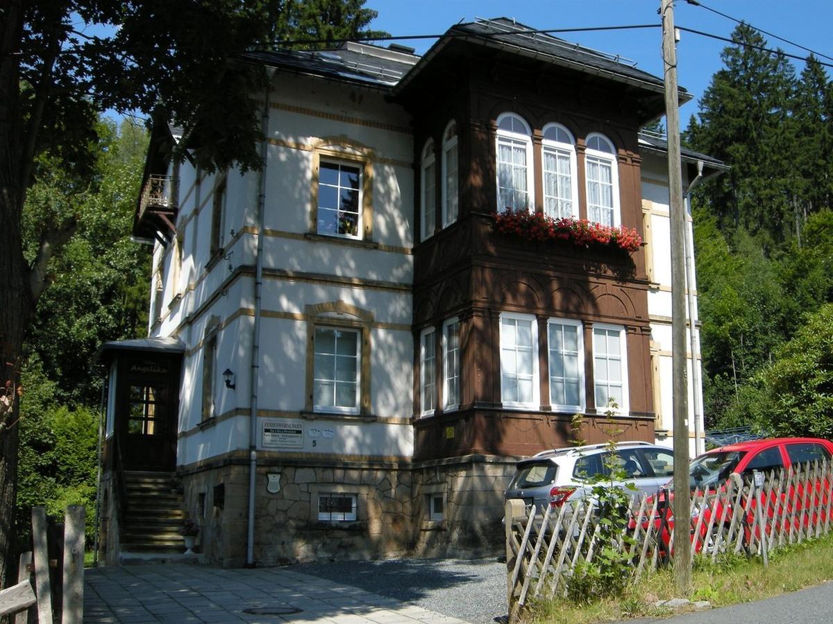 Villa Angelika Altenberg Eksteriør billede