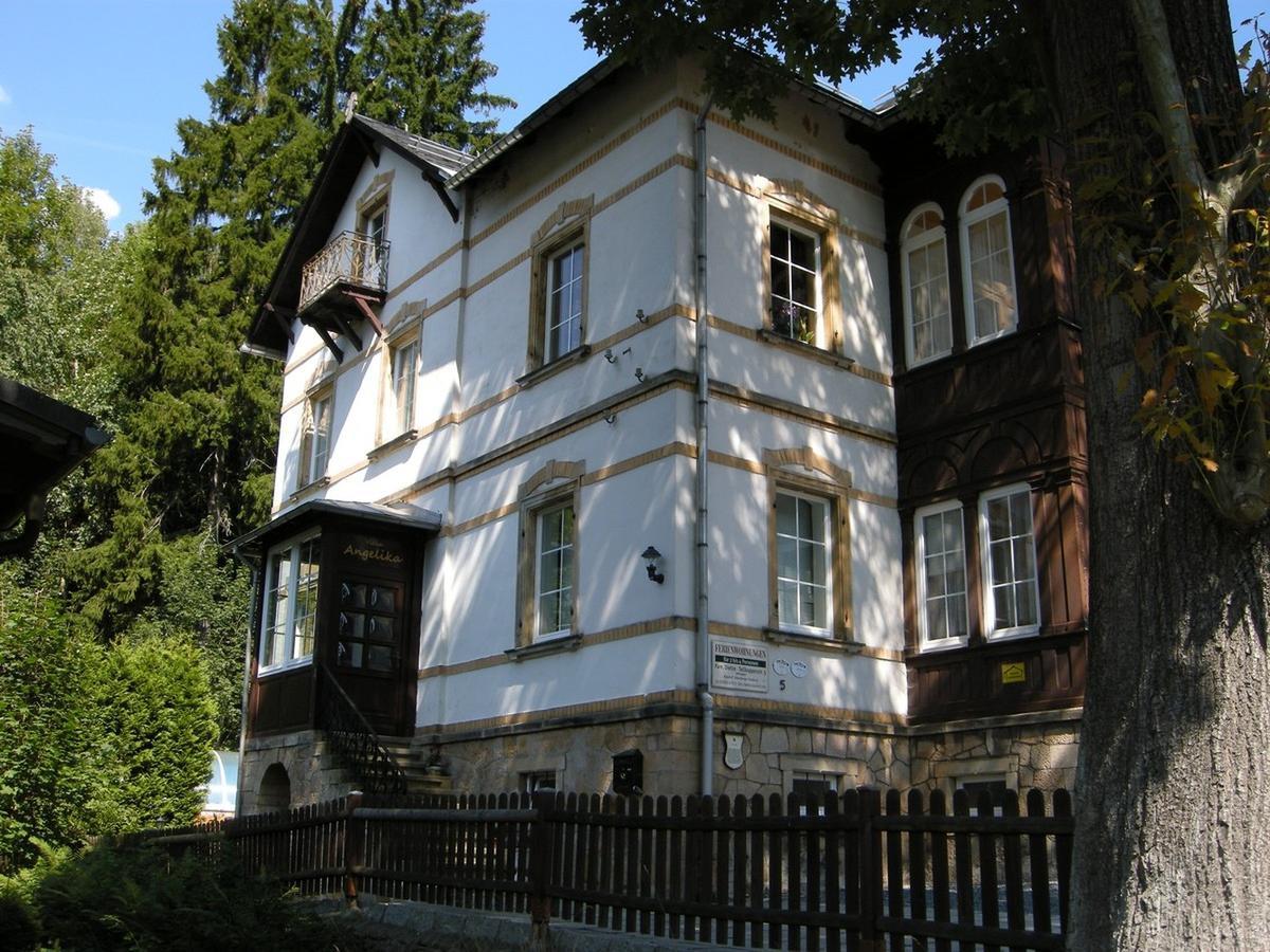 Villa Angelika Altenberg Eksteriør billede